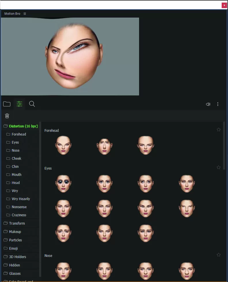 The features of Distortion Presets in Face Tool